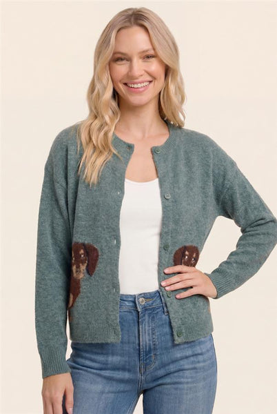 Dachshund Cardigan