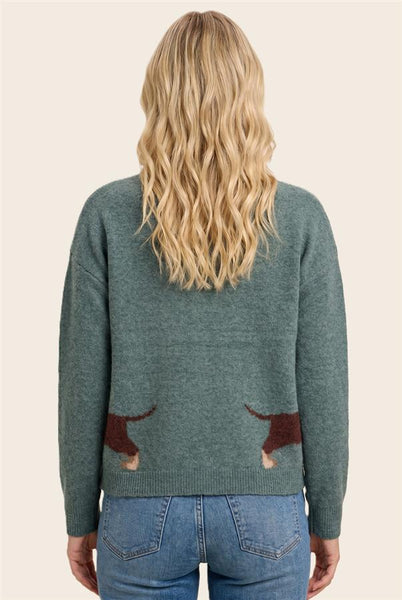 Dachshund Cardigan