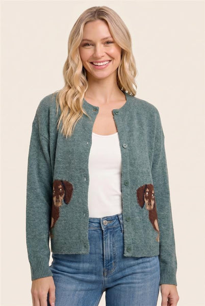 Dachshund Cardigan