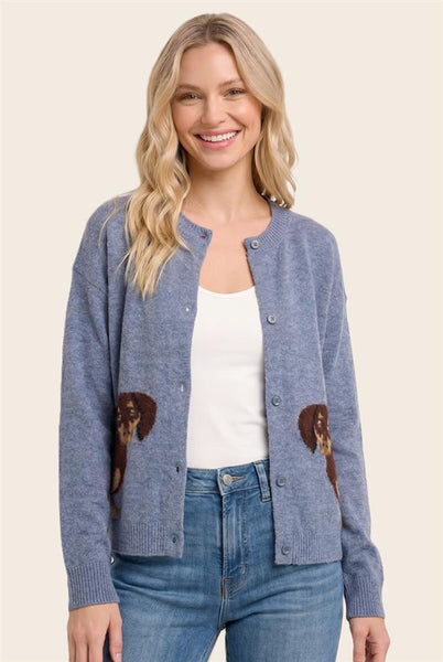 Dachshund Cardigan