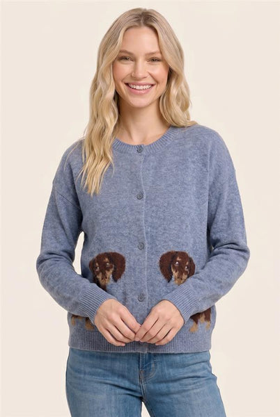 Dachshund Cardigan