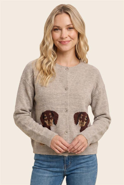 Dachshund Cardigan