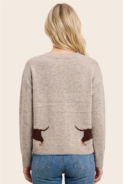 Dachshund Cardigan