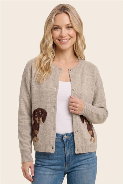 Dachshund Cardigan
