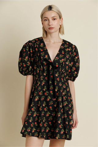 Adams Dress