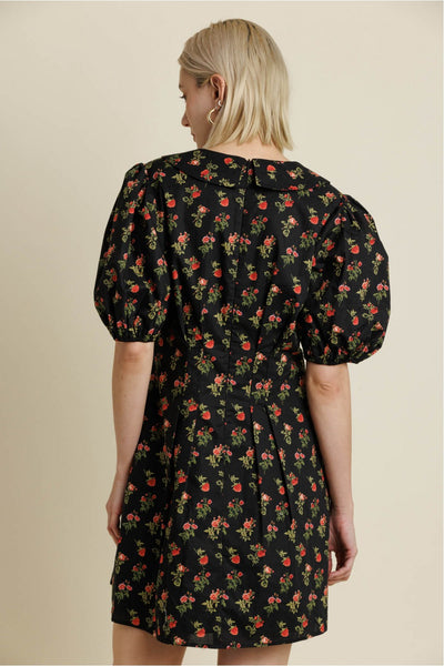 Adams Dress