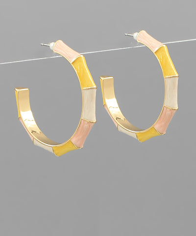 Ari Hoops