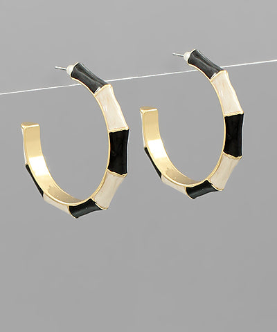 Ari Hoops
