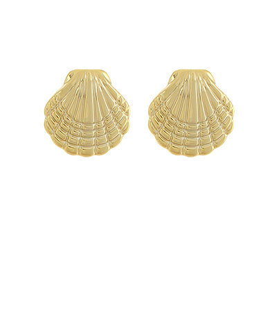 Sea Shell Earrings