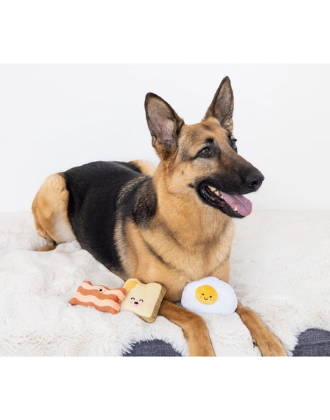 Barkfest Dog Toy Set