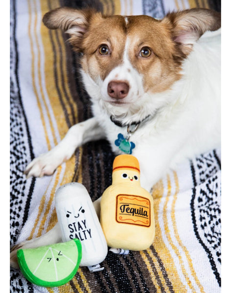 Tequila Shot Dog Toy Set