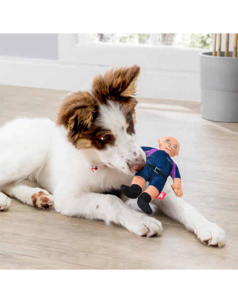 FidOs Dog Toy