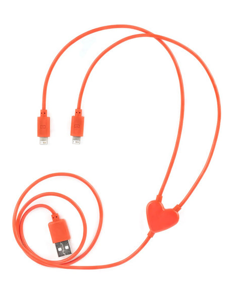 Double Charger