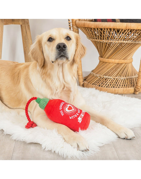 Hearts On Fire Dog Toy