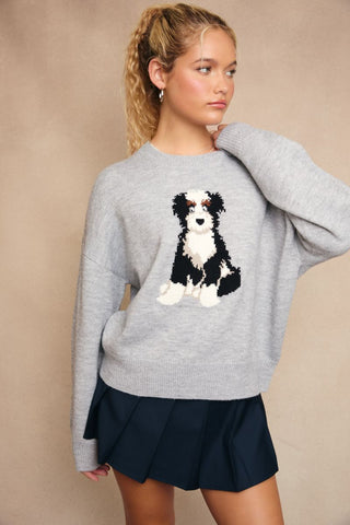Fido Sweater