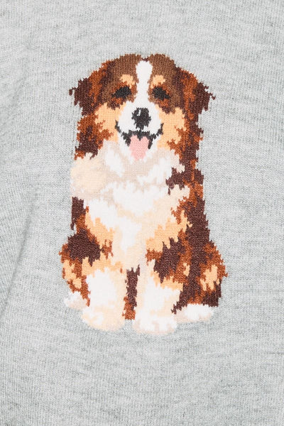 Playing Fetch Sweater
