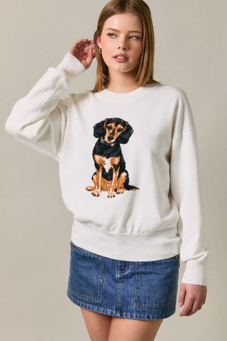 Beagle Sweater