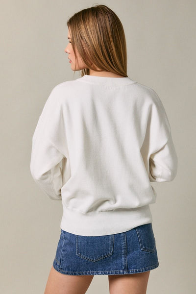Beagle Sweater