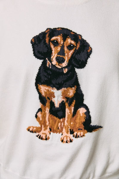 Beagle Sweater