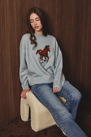 Giddy Up Sweater