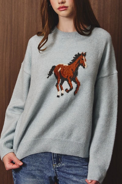 Giddy Up Sweater