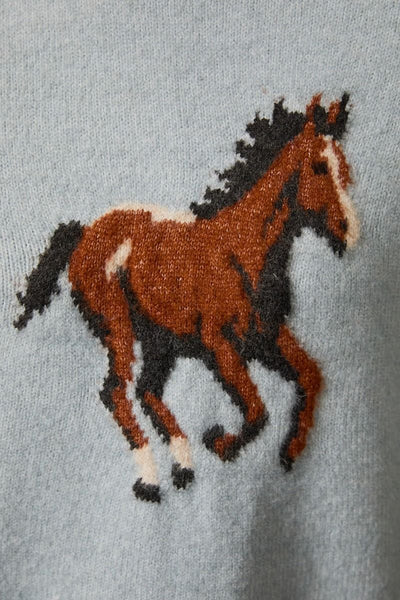 Giddy Up Sweater