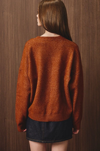 Pumpkin Dog Sweater