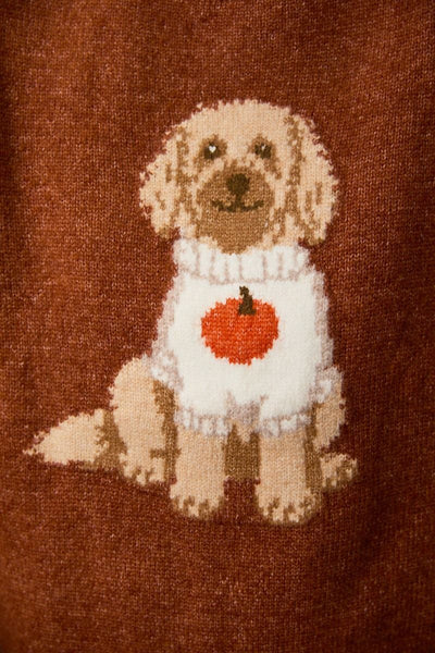Pumpkin Dog Sweater