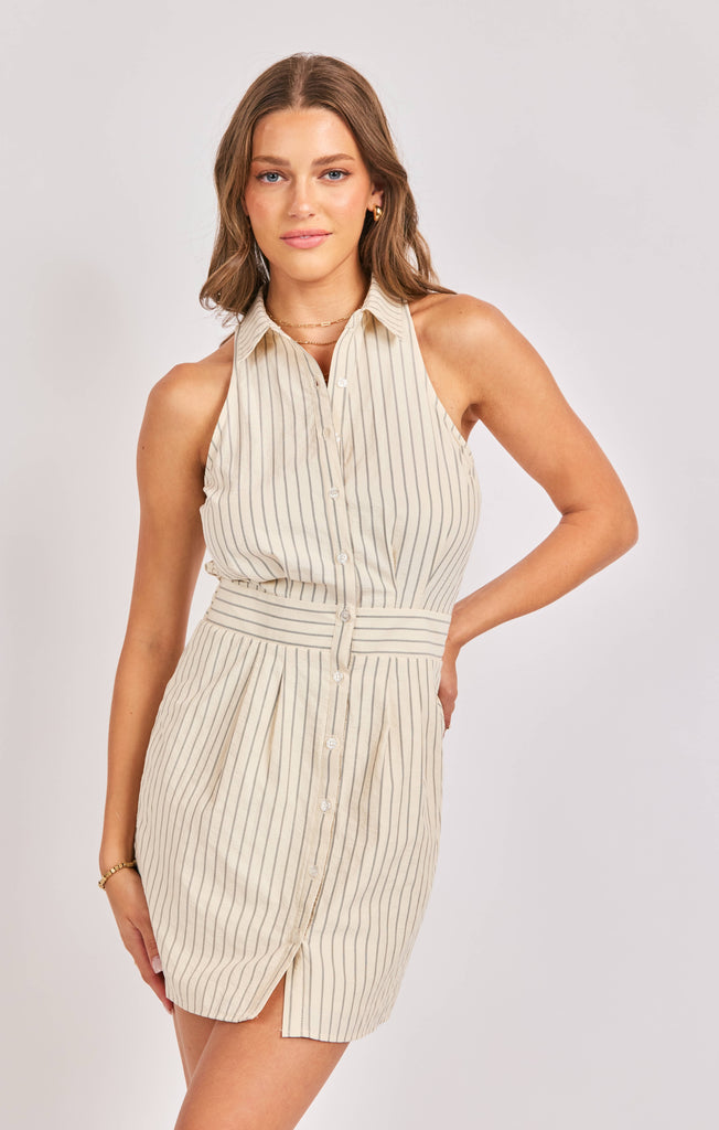 Classic Views Dress