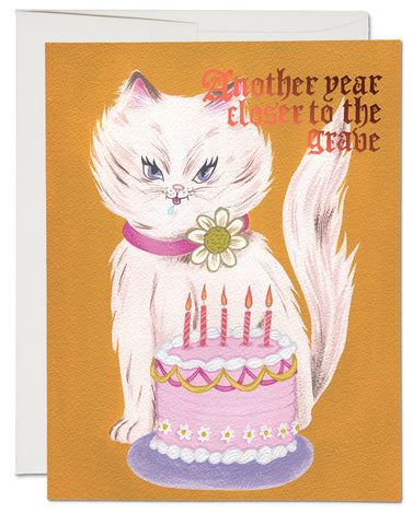 Kitty and Cake Card