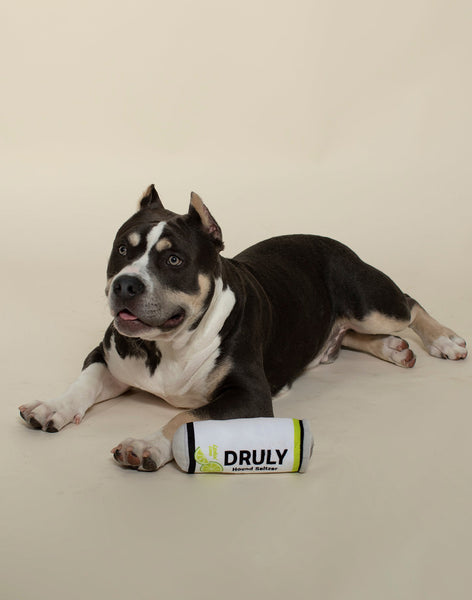 Druly Lickin Lime Dog Toy